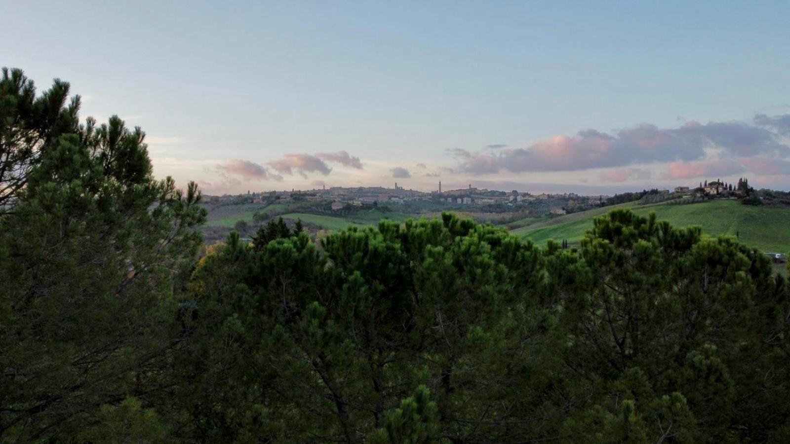 Agriturismo La Terrazza Sul Mangia Siena Zewnętrze zdjęcie