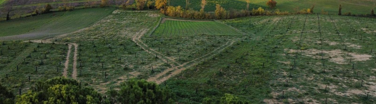 Agriturismo La Terrazza Sul Mangia Siena Zewnętrze zdjęcie