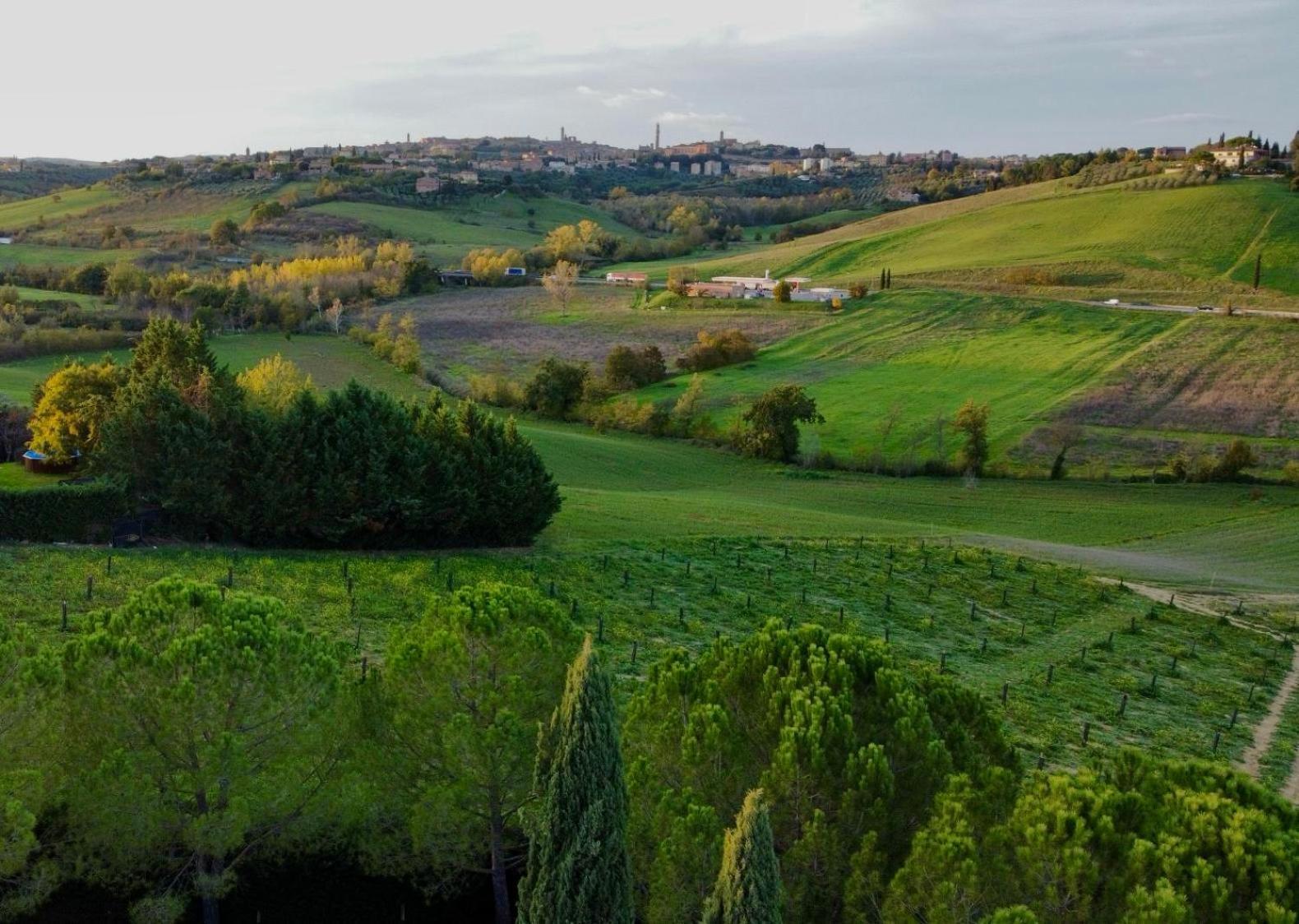 Agriturismo La Terrazza Sul Mangia Siena Zewnętrze zdjęcie