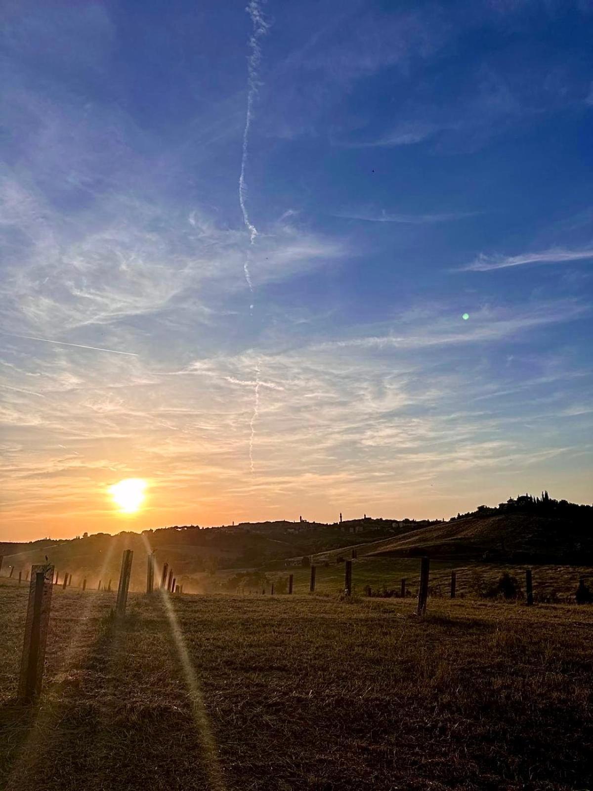Agriturismo La Terrazza Sul Mangia Siena Zewnętrze zdjęcie