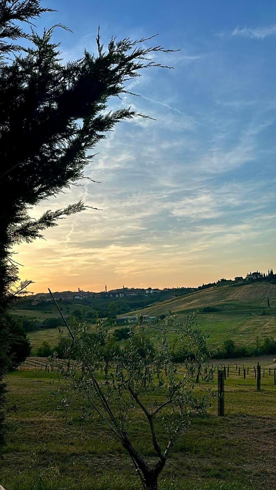 Agriturismo La Terrazza Sul Mangia Siena Zewnętrze zdjęcie