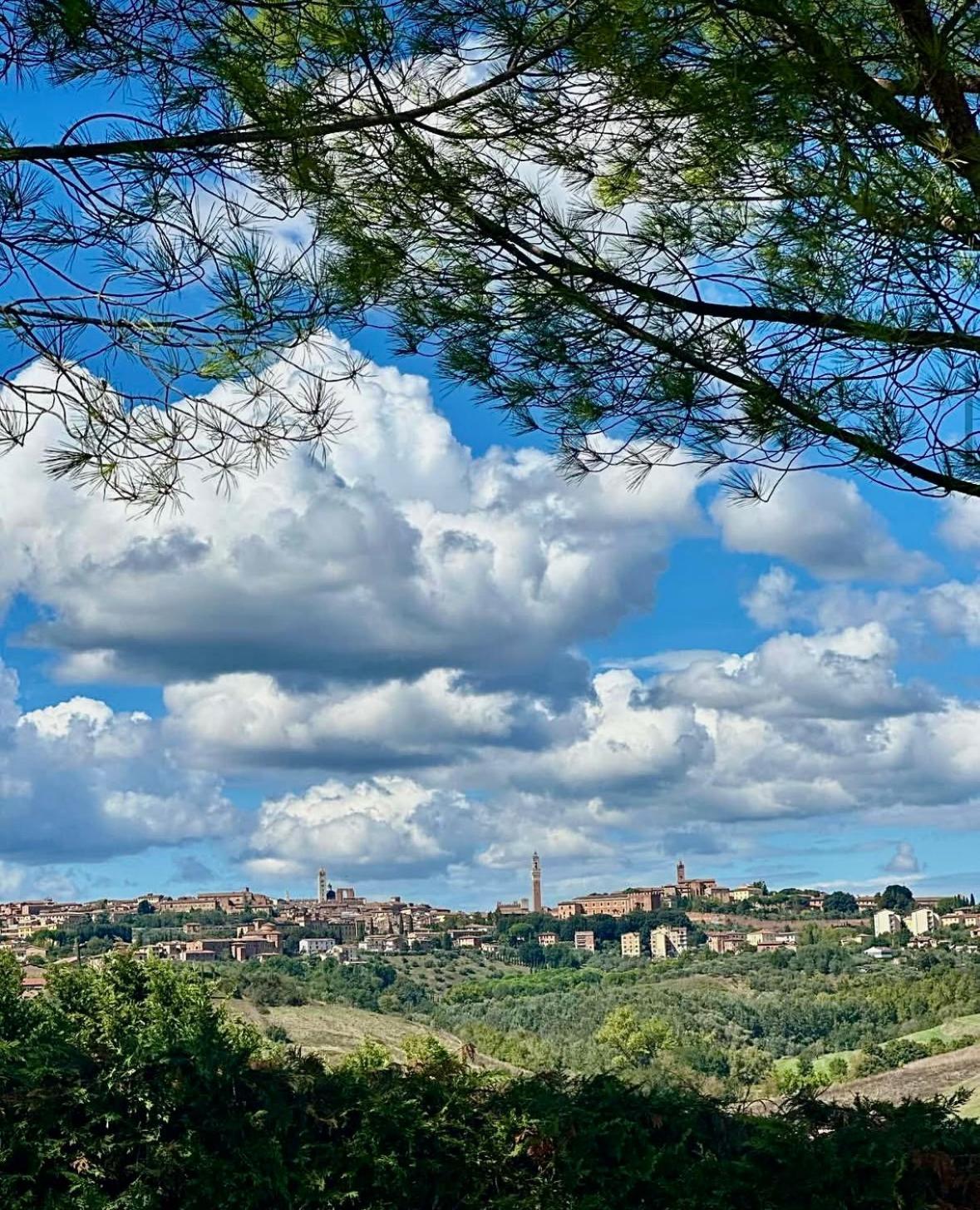Agriturismo La Terrazza Sul Mangia Siena Zewnętrze zdjęcie